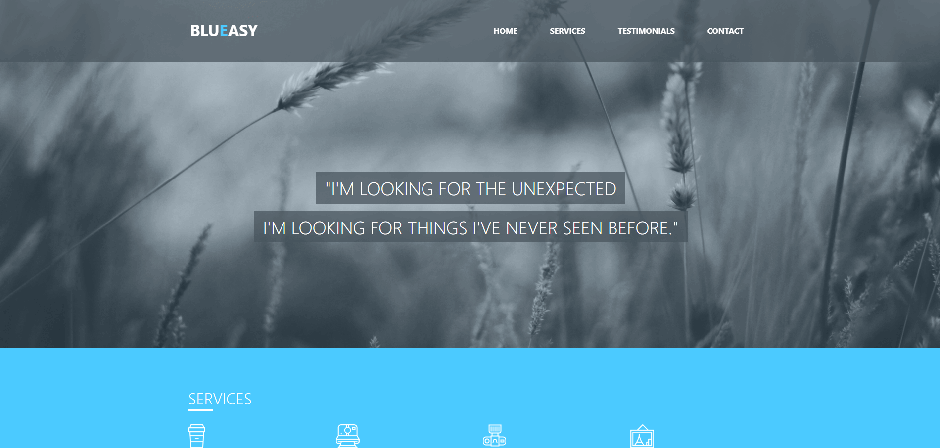 Project Blueasy